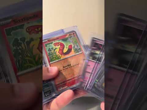Pokémon Value Box #6